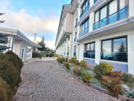 Empty İncek Single Building Venus Residence Furnished For Rent 1+1 Flat Office Kızılcaşar Gölbaşı Ankara