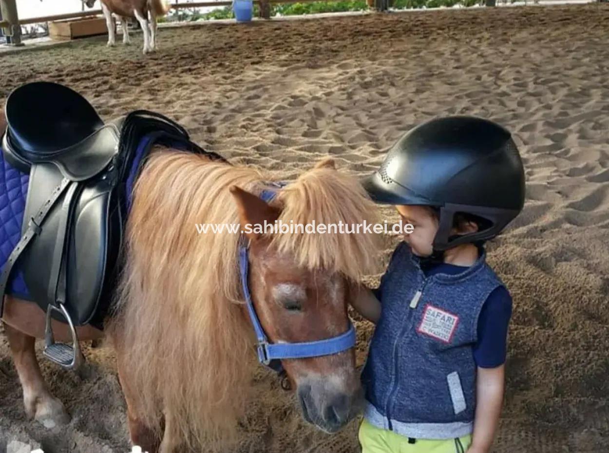 Boş Krediye Uygun İncek Loft Satılık  Teraslı 4+1  Peyzaj Manzaralı 137 M² 4.Kat Daire