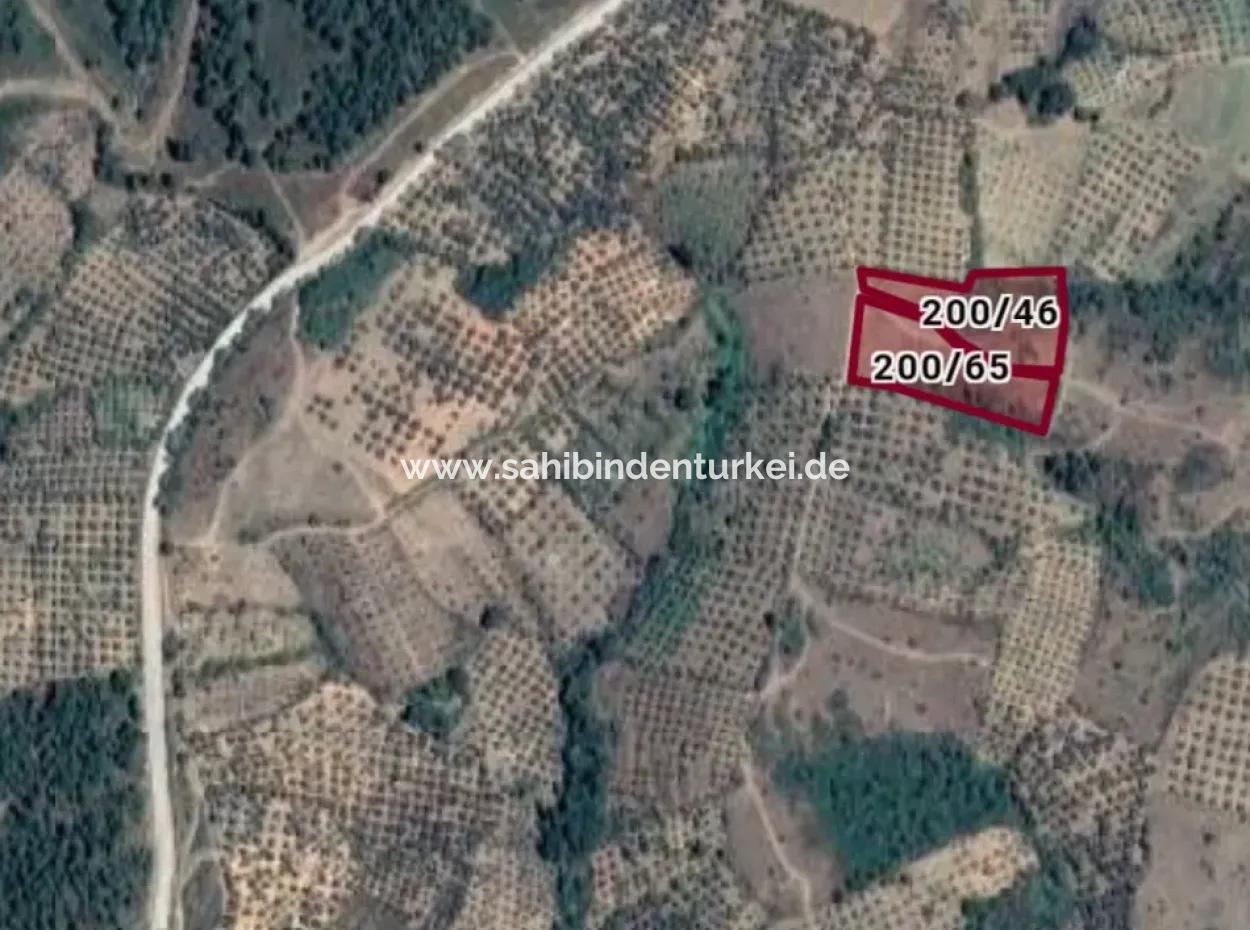 Kaz Dağları 9068 M2 Tarla Ekoturizm Alanı 