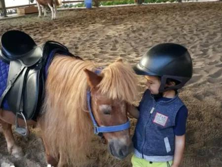 İncek Loft  Kiralık 2+1 85 M² 6.Kat Mogan Cephe Daire